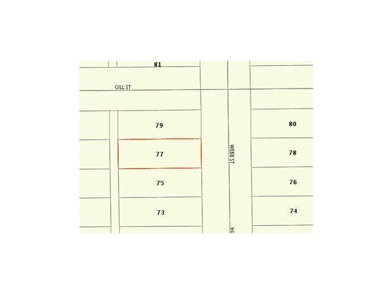 77 Webb Street, Menzies WA 6436