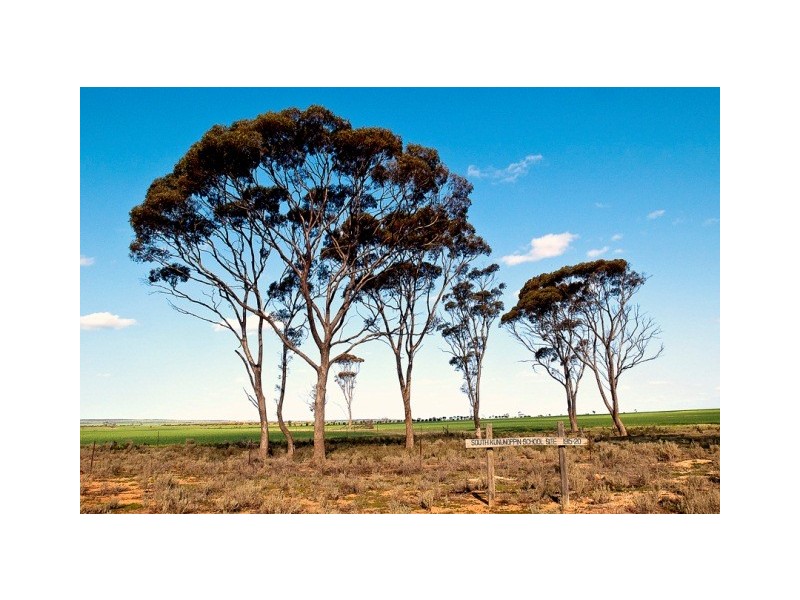 Lot 11381 Doodlakine – Kununoppin Road, Trayning WA 6488