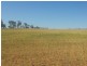 Lot 11381 Doodlakine – Kununoppin Road, Trayning WA 6488