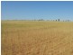 Lot 11381 Doodlakine – Kununoppin Road, Trayning WA 6488