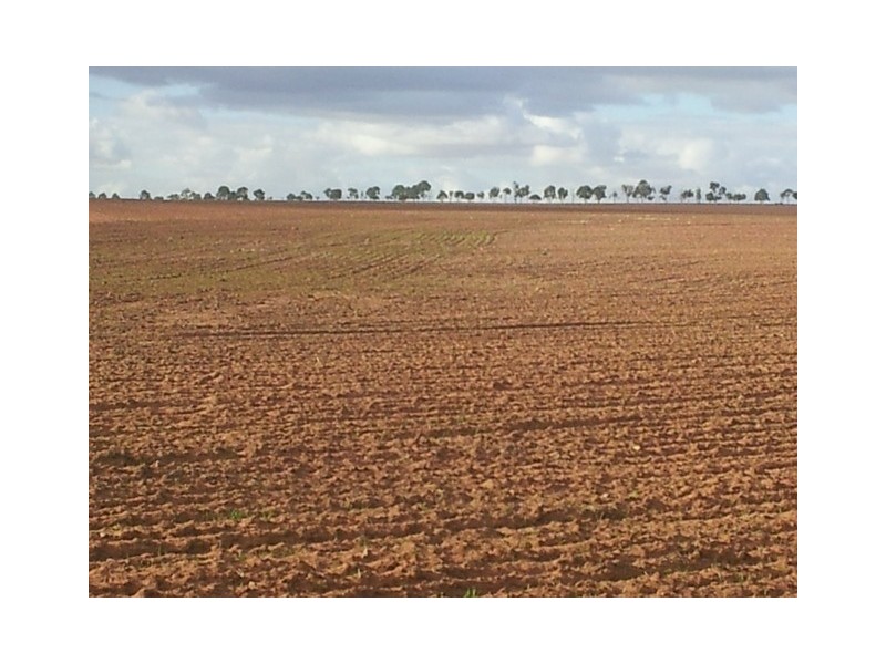 Lot 11381 Doodlakine – Kununoppin Road, Trayning WA 6488