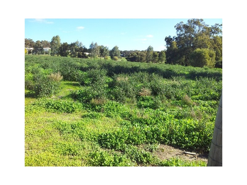 54 Smith Road, Bullsbrook WA 6084