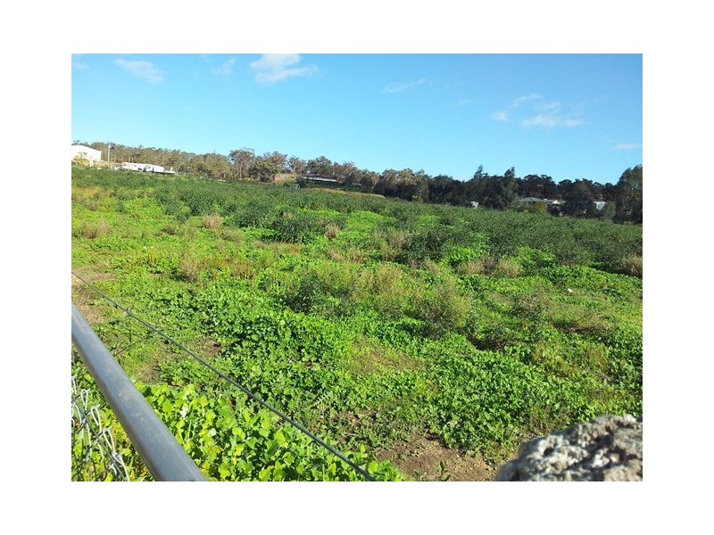 54 Smith Road, Bullsbrook WA 6084