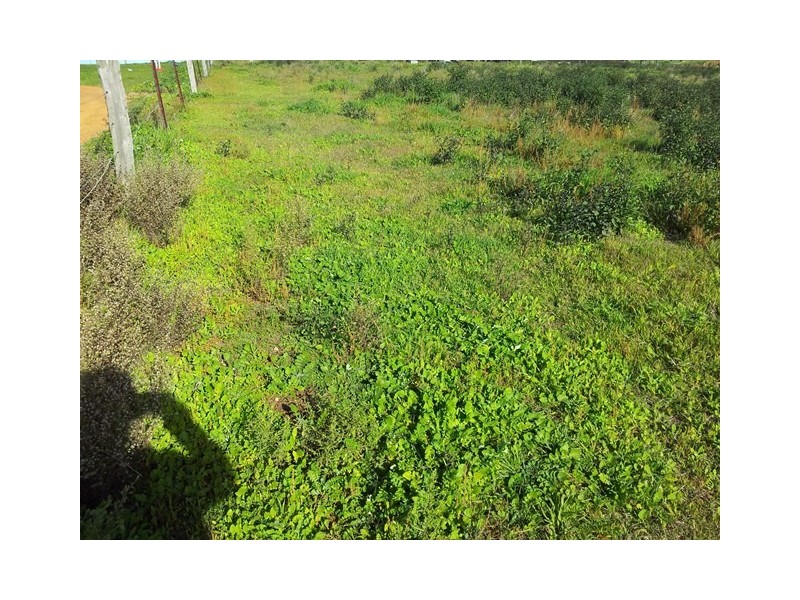 54 Smith Road, Bullsbrook WA 6084