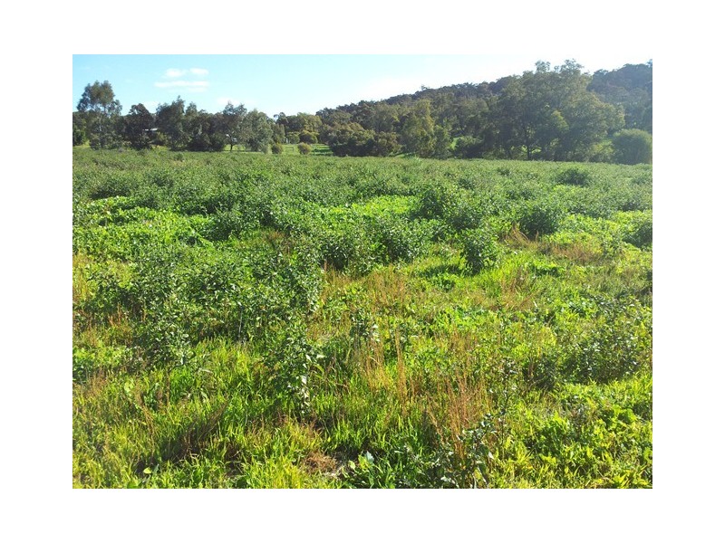 54 Smith Road, Bullsbrook WA 6084