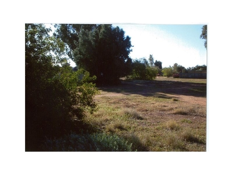 12 Mitchell Street, Mullewa WA 6630