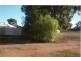 12 Mitchell Street, Mullewa WA 6630