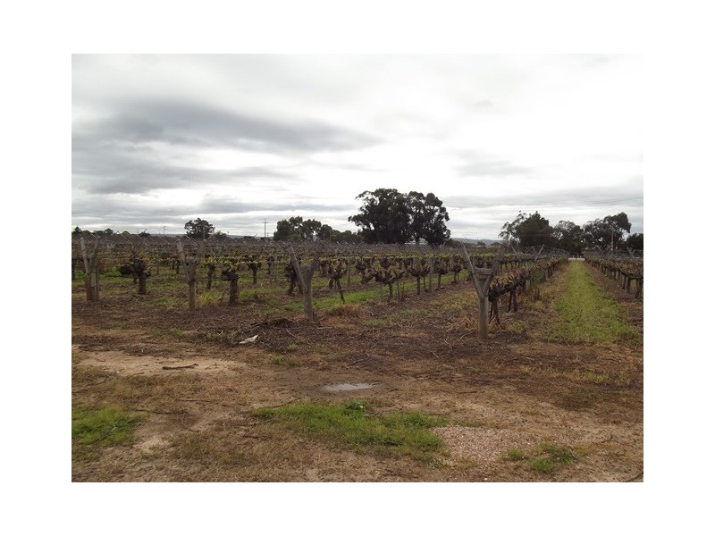 2931 West Swan Road, Caversham WA 6055