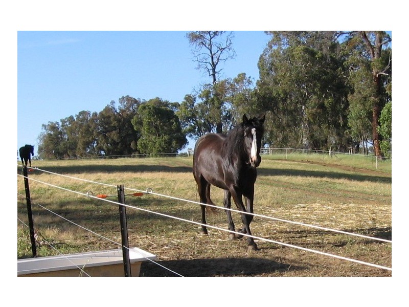 730 Reserve Road, Gidgegannup WA 6083