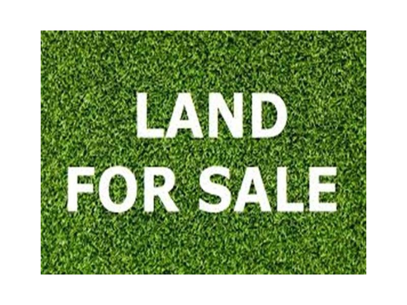 31 Dreyer Street, Tammin WA 6409