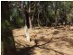 Lot 3 Old Toodyay Road, Gidgegannup WA 6083