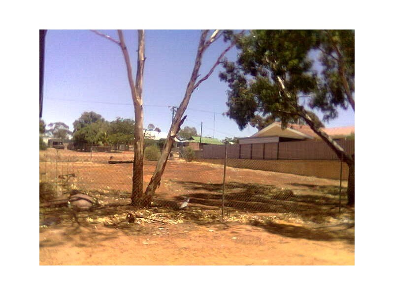 26 Mills Street, Mullewa WA 6630