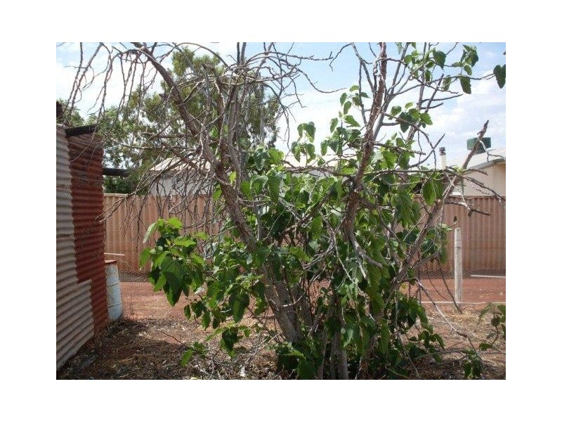 35-37 Main Road, Mullewa WA 6630