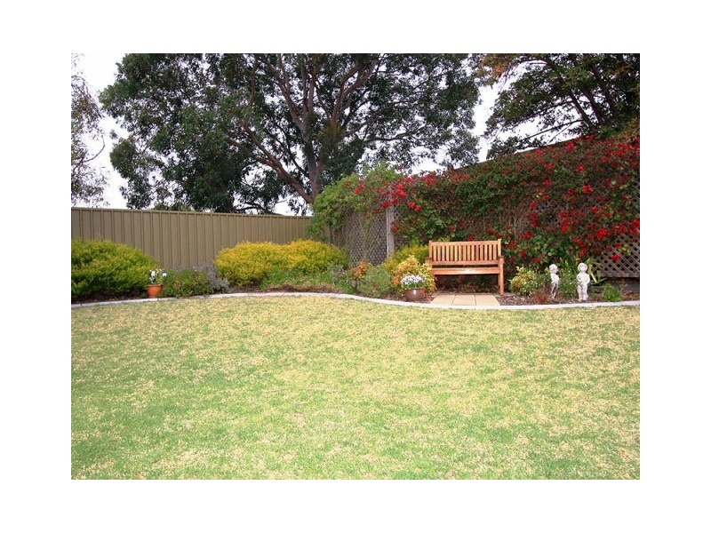 13 Clyde Avenue, Lockleys SA 5032