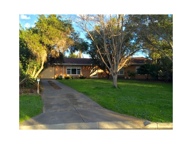 7 Sharpie Crescent, Grange SA 5022