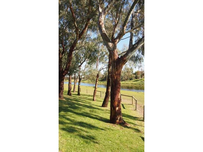 31 Gibson Street, West Beach SA 5024