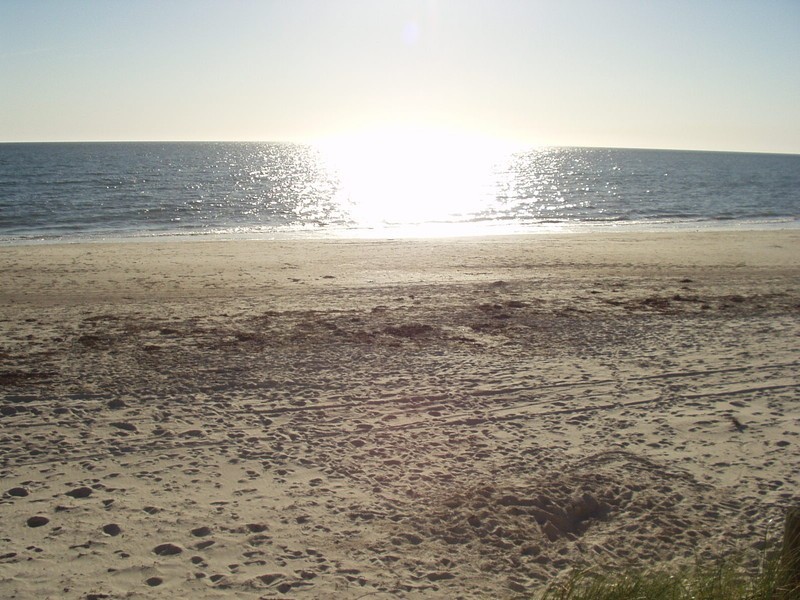 524 Seaview Road, Grange SA 5022