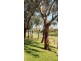 31 Gibson Street, West Beach SA 5024