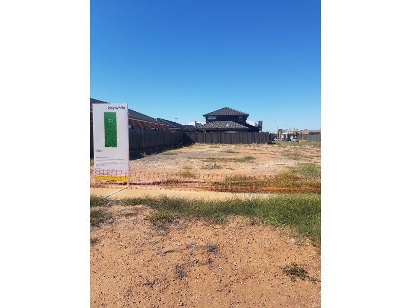 46 Bridgman Road, Findon SA 5023
