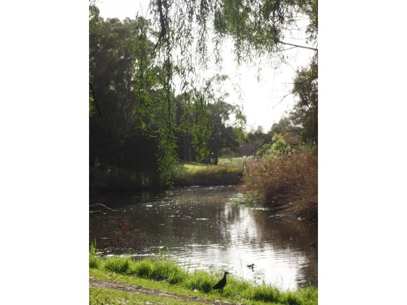 22 Browning Avenue, Fulham Gardens SA 5024