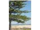 10 Esplanade, Semaphore SA 5019