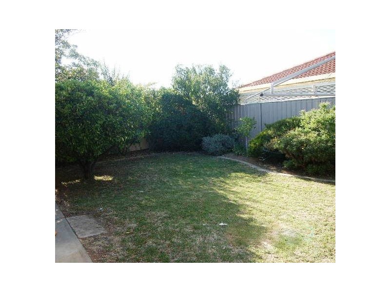 8 Elaine Avenue, Seaton SA 5023