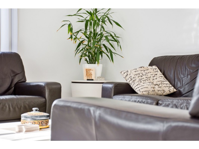 1C Madeline Crescent, Fulham Gardens SA 5024