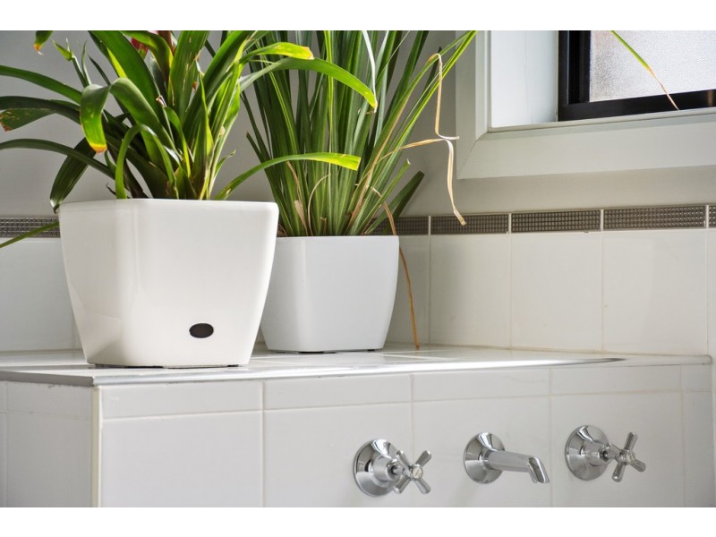 1C Madeline Crescent, Fulham Gardens SA 5024