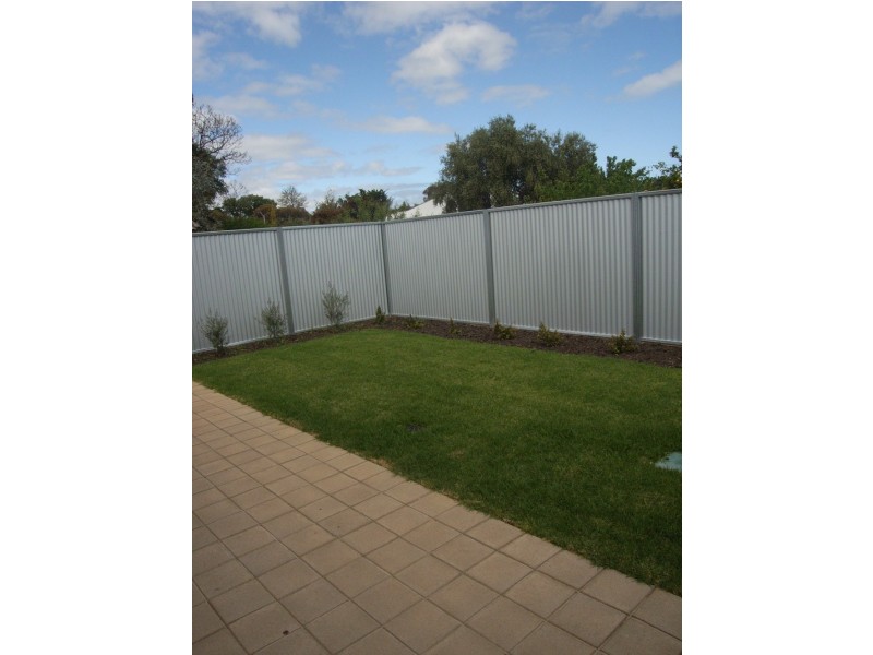 20 Herbert Road, Ashford SA 5035