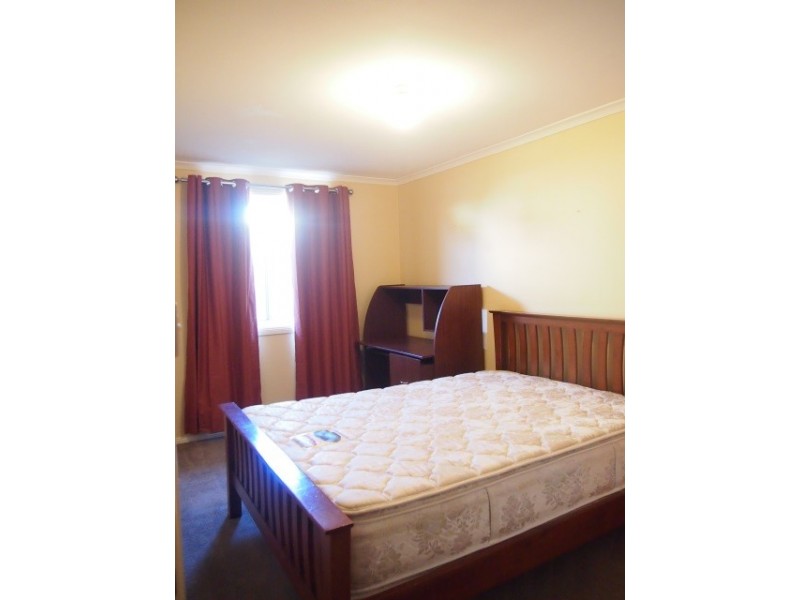 77 Willcocks Avenue, Seaton SA 5023