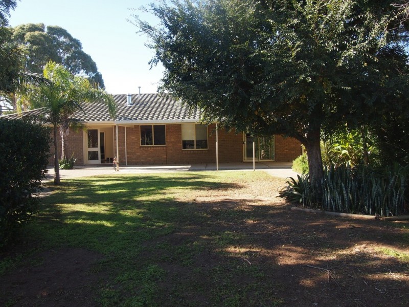 77 Willcocks Avenue, Seaton SA 5023