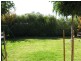 15 Dundee Avenue, Seaton SA 5023