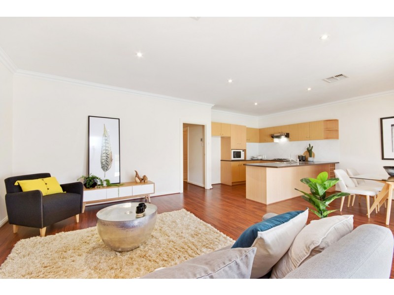 6A Collingwood Avenue, Flinders Park SA 5025