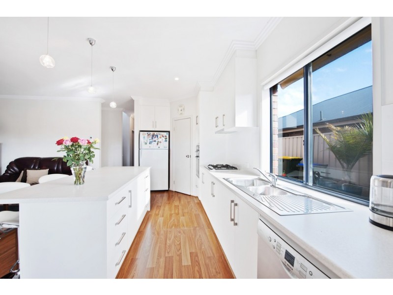 12 Willcocks Avenue, Seaton SA 5023