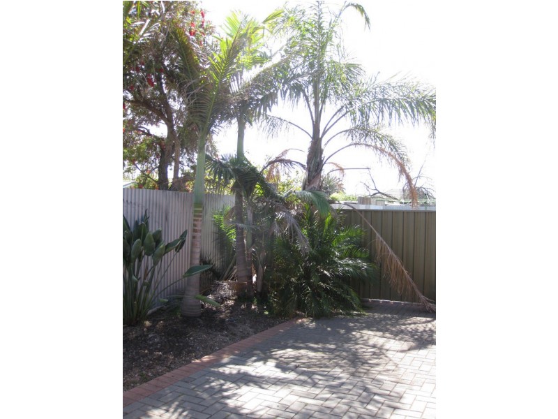 8/160 Trimmer Parade, Seaton SA 5023