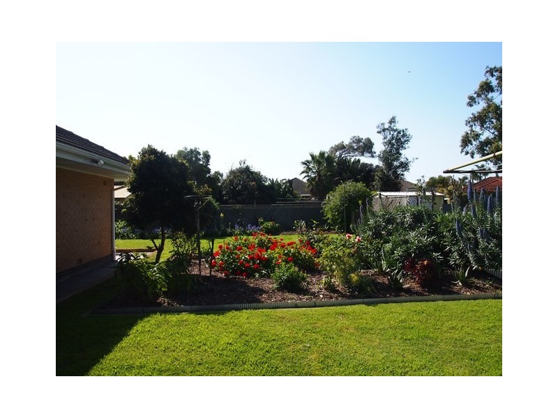 37 Sharpie Avenue, Grange SA 5022