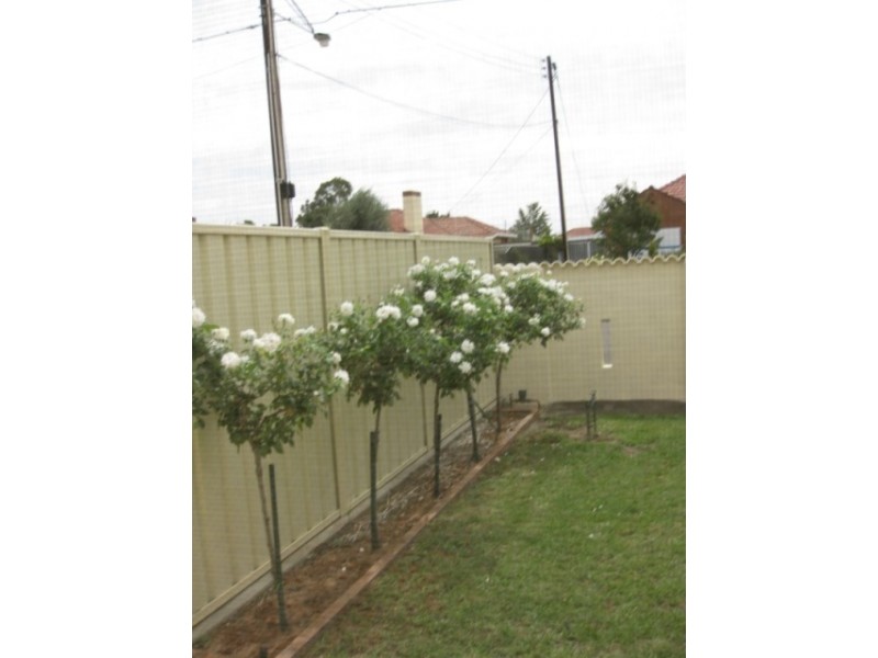 16 Farr Street, Woodville North SA 5012