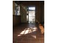 6 Clacton Road, Dover Gardens SA 5048