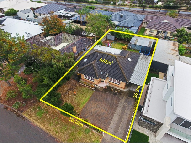 23 Hollard Avenue, Grange SA 5022