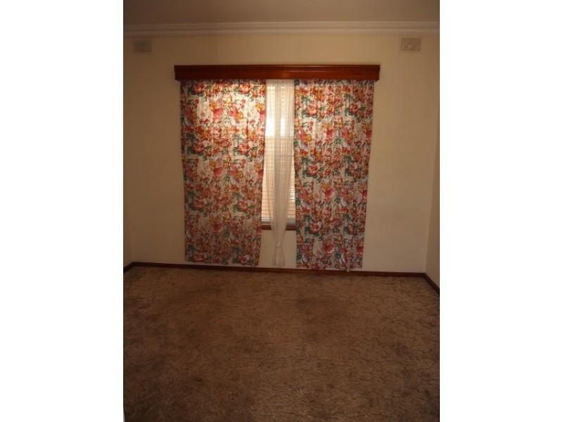 31 Bolingbroke Avenue, Henley Beach SA 5022