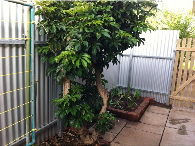 3/58 Le Hunte Street, Kilburn SA 5084