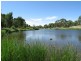 1 Roder Avenue, Kidman Park SA 5025