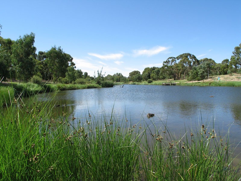 1 Roder Avenue, Kidman Park SA 5025