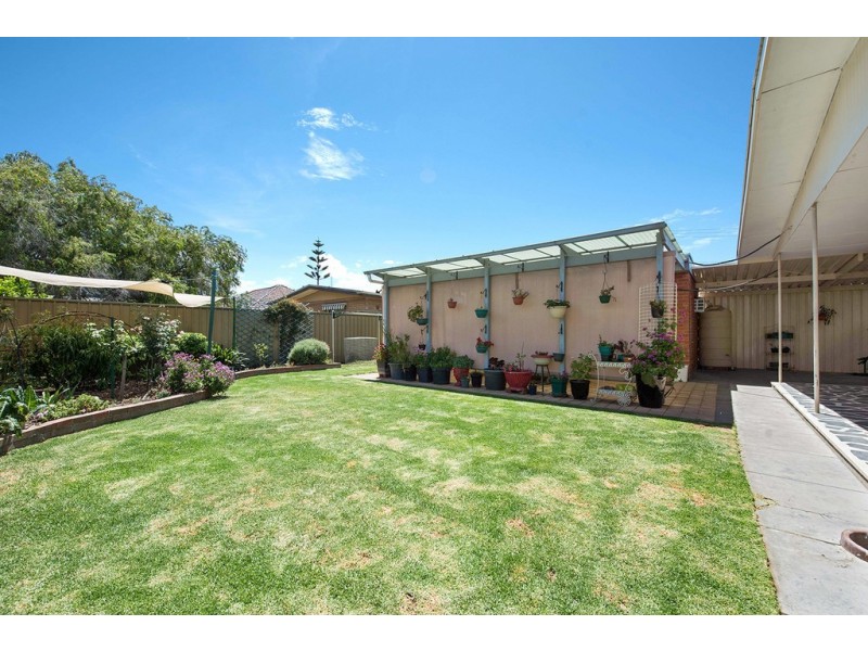 24 Shandon Avenue, Seaton SA 5023