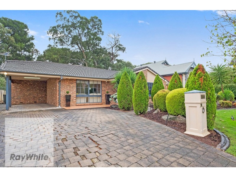 41 Watson Street, Hectorville SA 5073