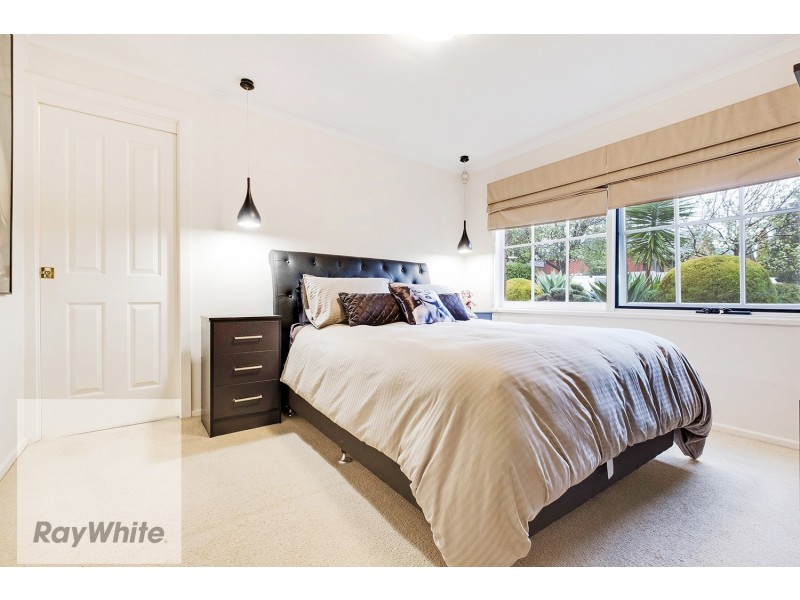 41 Watson Street, Hectorville SA 5073