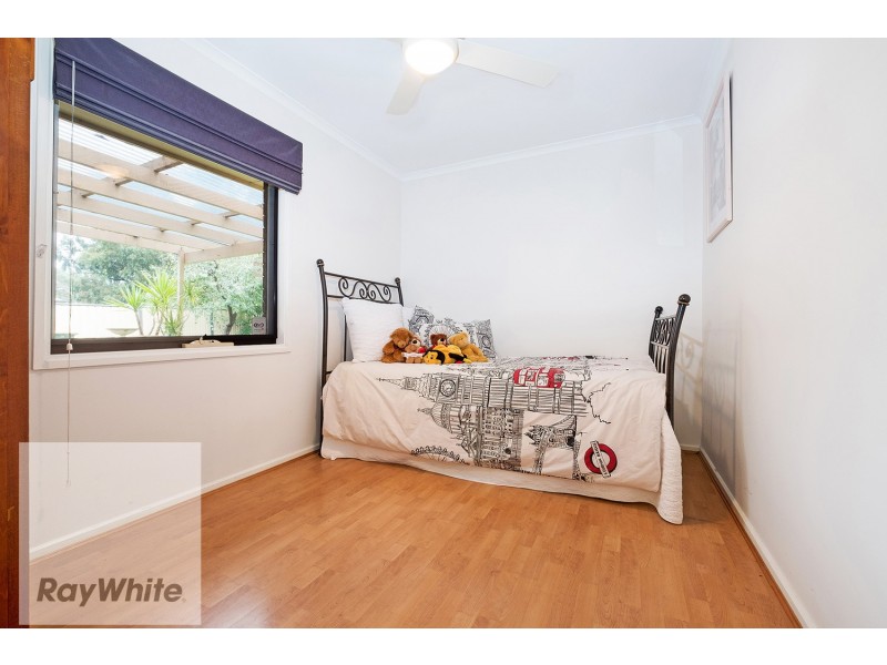 41 Watson Street, Hectorville SA 5073