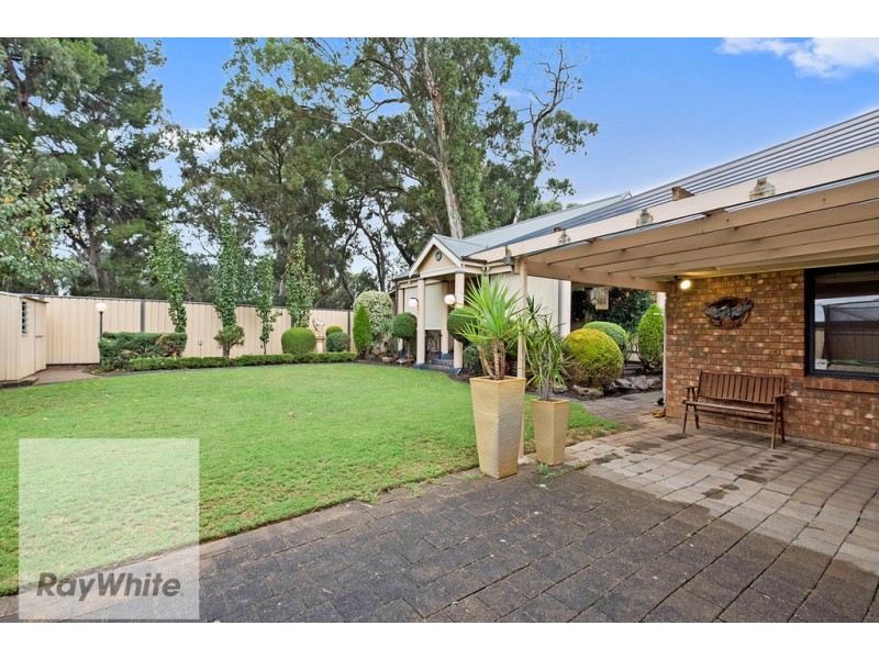 41 Watson Street, Hectorville SA 5073