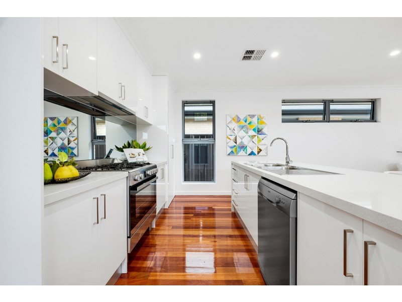 16 Norfolk Avenue, Fulham Gardens SA 5024