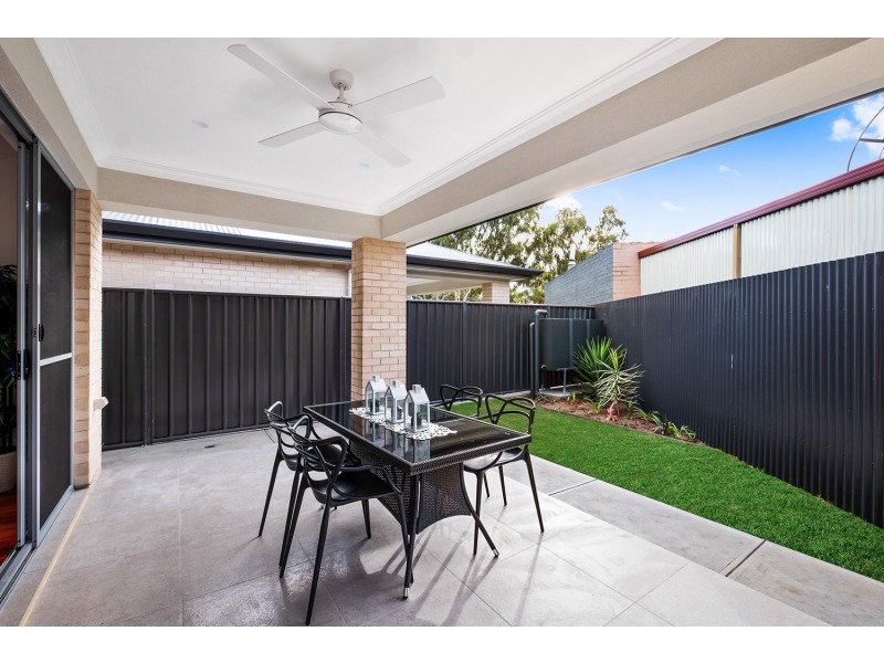 16 Norfolk Avenue, Fulham Gardens SA 5024